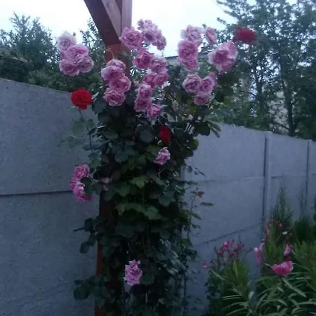 Сasa de vacaciones In - Balaton 39648 *