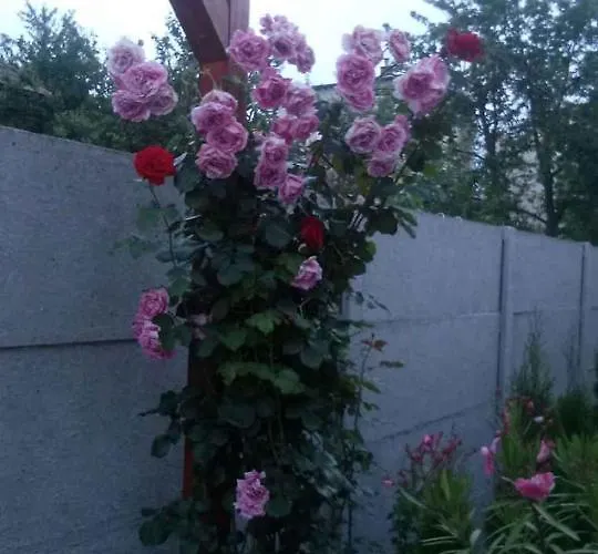 Ferienhaus In - Balaton 39648 *