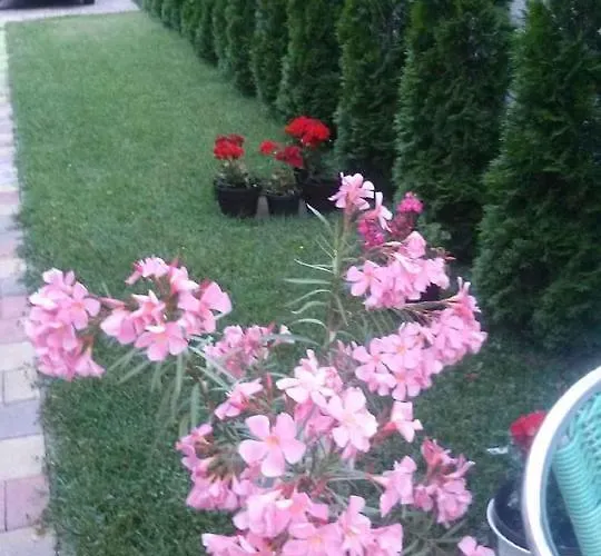 In - Balaton 39648 Casa de Férias